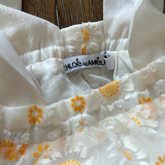 CHLOE AND AMELIE MARY MARY DRESS - DAISY FIELDS - Picture 4 of 5